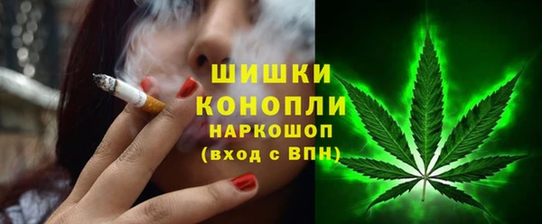 эйфоретик Арсеньев