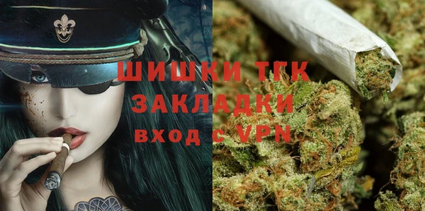 дживик Бронницы