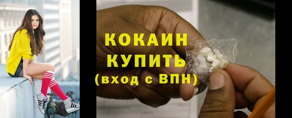эйфоретик Арсеньев