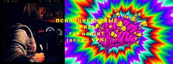 эйфоретик Арсеньев