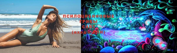 эйфоретик Арсеньев